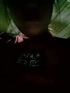 auro99 online show from July 2026 01:41:02 PM