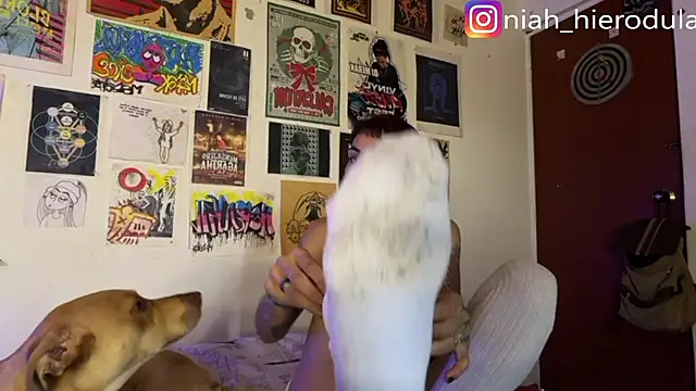 niah 11 online show from July 2026 03:50:01 PM