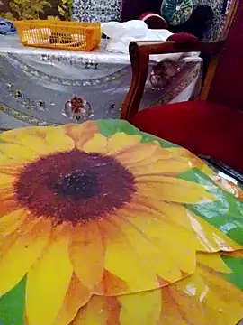Snapshot of LonesomeMegawatt chatting on June 2026 12:07:02 PM LonesomeMegawatt online show from June 2026 12:07:02 PM