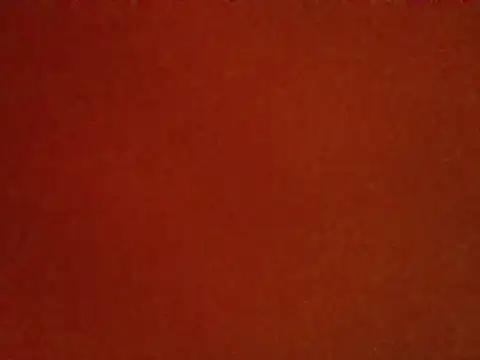 StarBelle online show from May 2026 05:04:01 AM