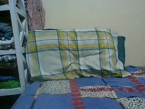 Applecute254 online show from June 2026 06:20:01 AM