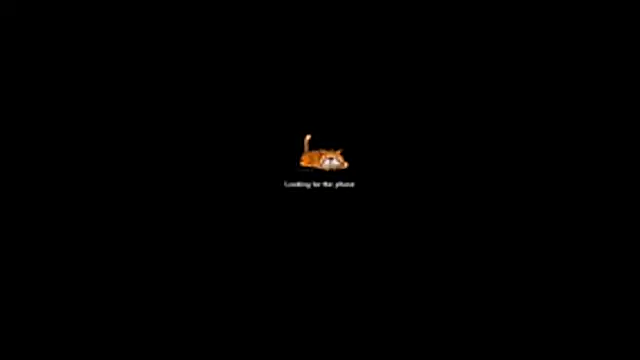 Snapshot of bella-diaz chatting on July 2026 08:33:02 PM bella-diaz online show from July 2026 08:33:02 PM