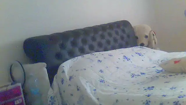 Snapshot of Alaska-perla chatting on June 2026 09:14:01 AM Alaska-perla online show from June 2026 09:14:01 AM