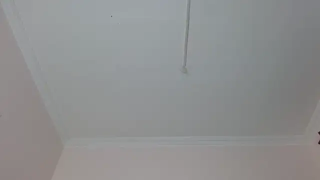 amara sanchez online show from July 2026 01:04:01 PM