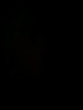 hook9sex online show from June 2026 04:54:02 AM