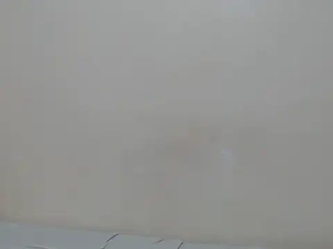 Snapshot of lewinne chatting on July 2026 09:08:02 PM lewinne online show from July 2026 09:08:02 PM