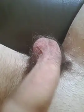 ShyDicksGuy online show from July 2026 01:02:02 PM
