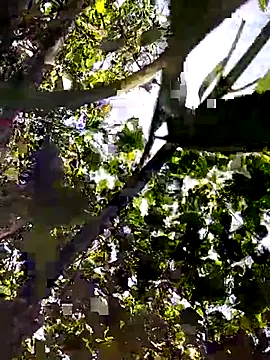 Sofia-fuck online show from July 2026 05:53:01 AM