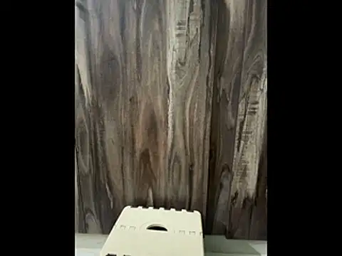 SatBull007 online show from November 2025 07:52:01 AM