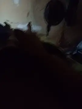 novinhosilva online show from July 2026 06:59:01 PM