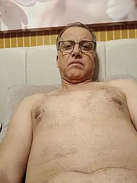sheltomm online show from August 2026 01:04:01 AM