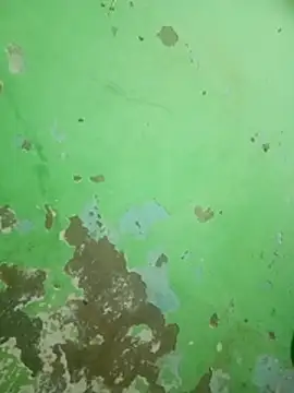 rumarani online show from August 2026 02:26:02 AM