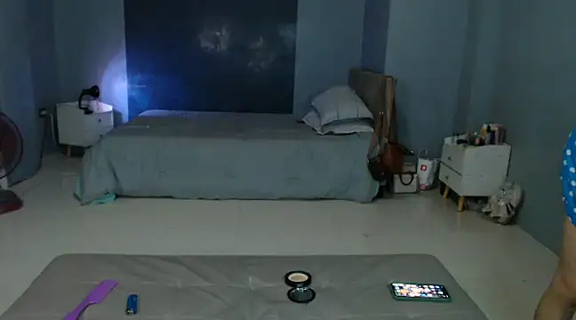 Snapshot of _FoxyFlair chatting on February 2025 08:50:01 PM  FoxyFlair online show from February 2025 08:50:01 PM