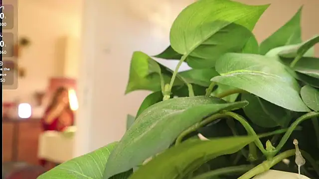 Snapshot of Kishaxxx chatting on March 2025 02:08:02 PM Kishaxxx online show from March 2025 02:08:02 PM