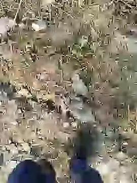 Snapshot of ThethunderPo chatting on December 2024 02:43:02 AM ThethunderPo online show from December 2024 02:43:02 AM