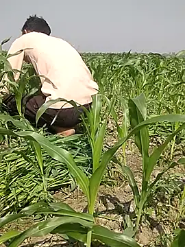 Snapshot of ThethunderPo chatting on March 2025 04:25:02 AM ThethunderPo online show from March 2025 04:25:02 AM