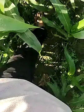 Snapshot of ThethunderPo chatting on March 2025 02:48:01 AM ThethunderPo online show from March 2025 02:48:01 AM