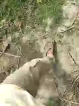 ThethunderPo online show from February 2026 07:51:02 AM