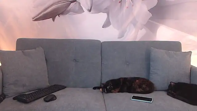 sofiasteven online show from March 2026 11:44:02 PM