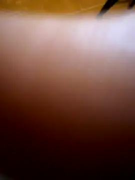 Wet-Pussycat online show from December 2025 05:55:02 PM