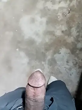 Snapshot of Bengali_BULL1 chatting on November 2025 06:26:01 PM Bengali BULL1 online show from November 2025 06:26:01 PM