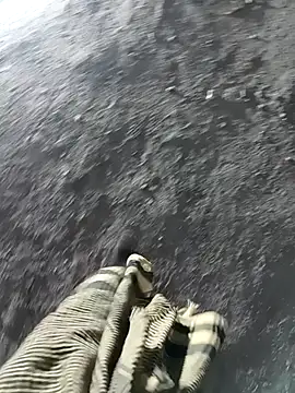 Snapshot of Bengali_BULL1 chatting on November 2025 01:50:01 PM Bengali BULL1 online show from November 2025 01:50:01 PM