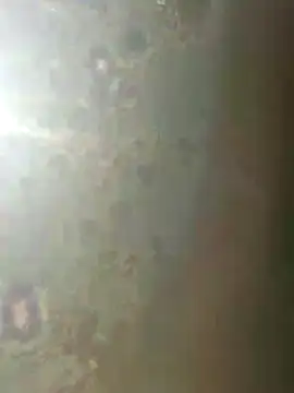 misscectito13 online show from November 2025 10:31:01 AM