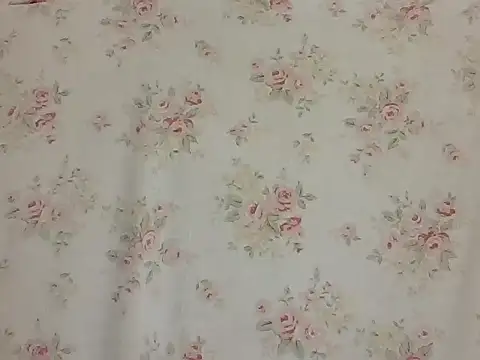 sarathchandru online show from February 2026 11:03:02 PM