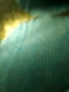 salonidesimaal online show from December 2024 10:02:02 AM