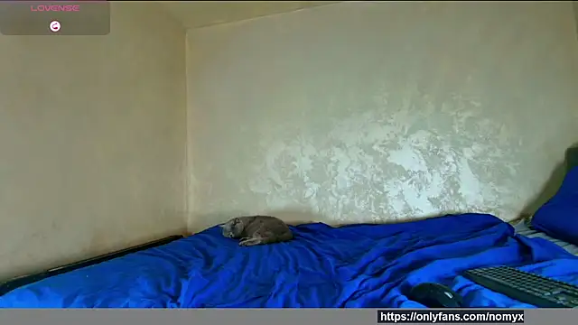 angeliquevany online show from December 2025 06:58:01 PM