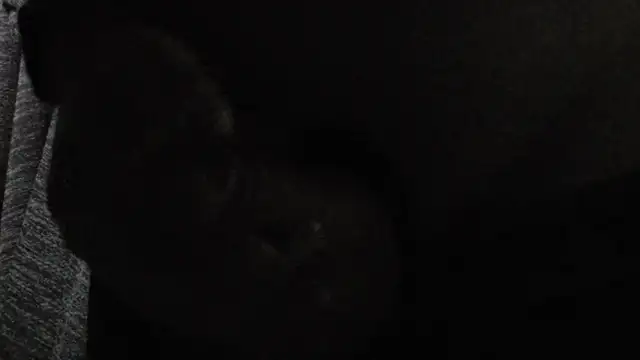 Snapshot of NylonHype chatting on July 2026 12:59:02 AM NylonHype online show from July 2026 12:59:02 AM