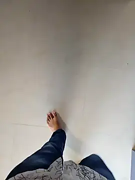 Big boss ind online show from November 2025 03:06:02 AM