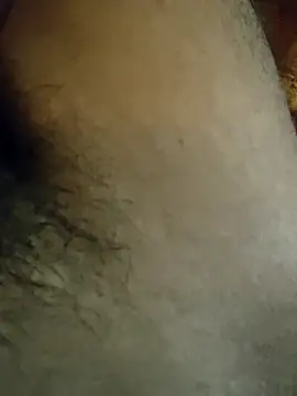 Samsharma1170 online show from January 2025 03:55:02 PM