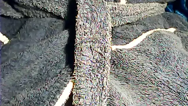 Snapshot of kalinixta chatting on October 2025 07:32:02 PM kalinixta online show from October 2025 07:32:02 PM