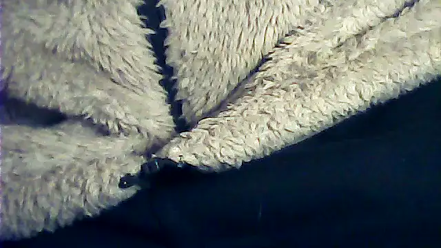 Snapshot of kalinixta chatting on January 2026 06:44:01 PM kalinixta online show from January 2026 06:44:01 PM