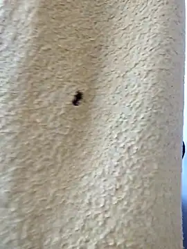 david geam online show from March 2026 06:51:02 AM