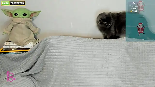 Snapshot of 3ight33nplus chatting on December 2024 07:31:02 PM 3ight33nplus online show from December 2024 07:31:02 PM