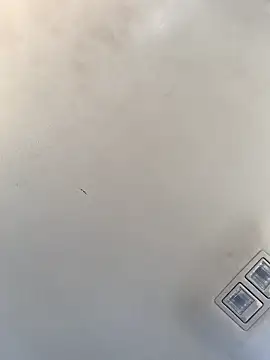 Snapshot of Tristris100 chatting on December 2024 08:14:02 PM Tristris100 online show from December 2024 08:14:02 PM