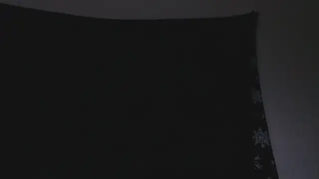 florida0217 online show from October 2025 05:02:02 AM