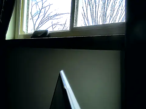 longdick4you8686 online show from February 2025 03:05:01 PM