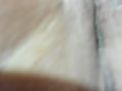 foxy-porn1 online show from March 2026 03:16:01 PM