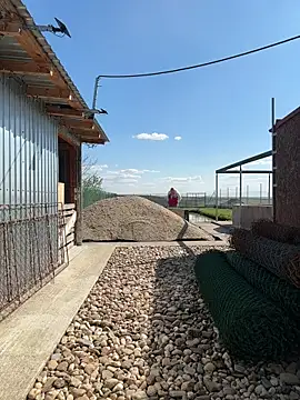 SabinaSweety online show from April 2026 12:43:01 PM