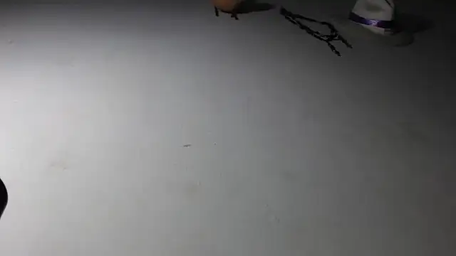 adrixxx38 online show from January 2026 11:19:01 PM