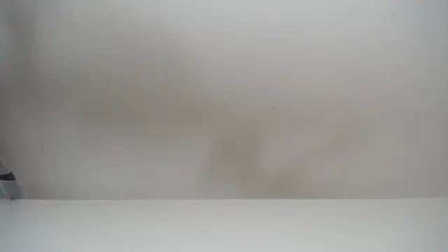 salomecastro  online show from November 2025 06:30:01 PM