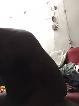 Snapshot of livepro chatting on December 2024 10:58:01 PM livepro online show from December 2024 10:58:01 PM