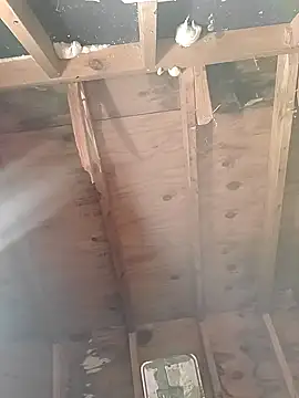 Snapshot of MaddyC6992 chatting on December 2024 12:49:01 PM MaddyC6992 online show from December 2024 12:49:01 PM