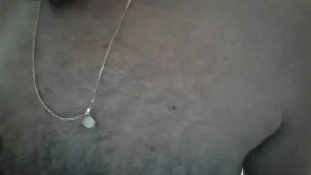 Leo Big online show from February 2026 10:14:01 AM