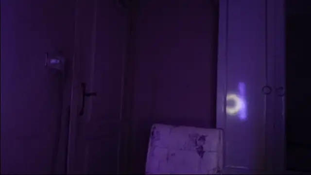 Bullish online show from January 2025 11:45:02 AM