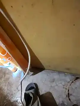 Manyy550 online show from January 2026 08:00:01 PM