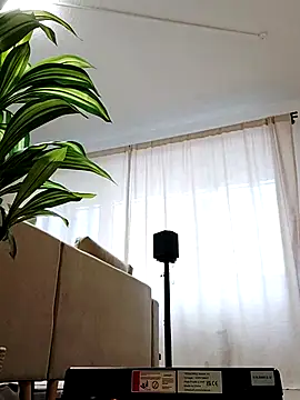 mister-dwt online show from February 2025 06:47:02 AM